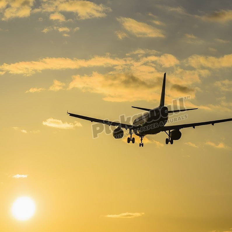 Aircraft landing at sunset - Pickawall