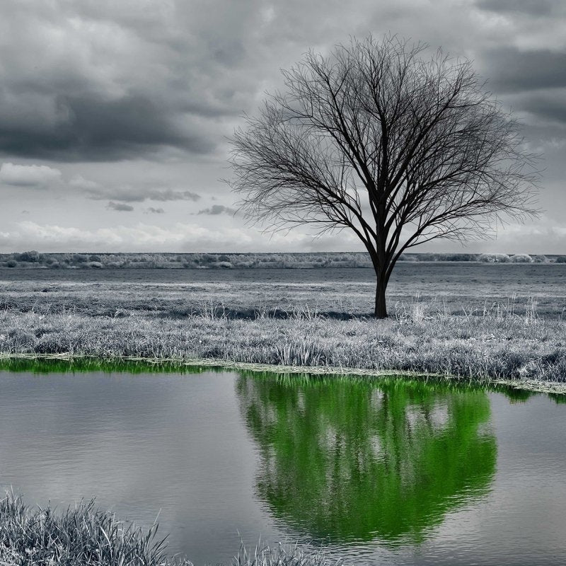An unusual landscape - Pickawall