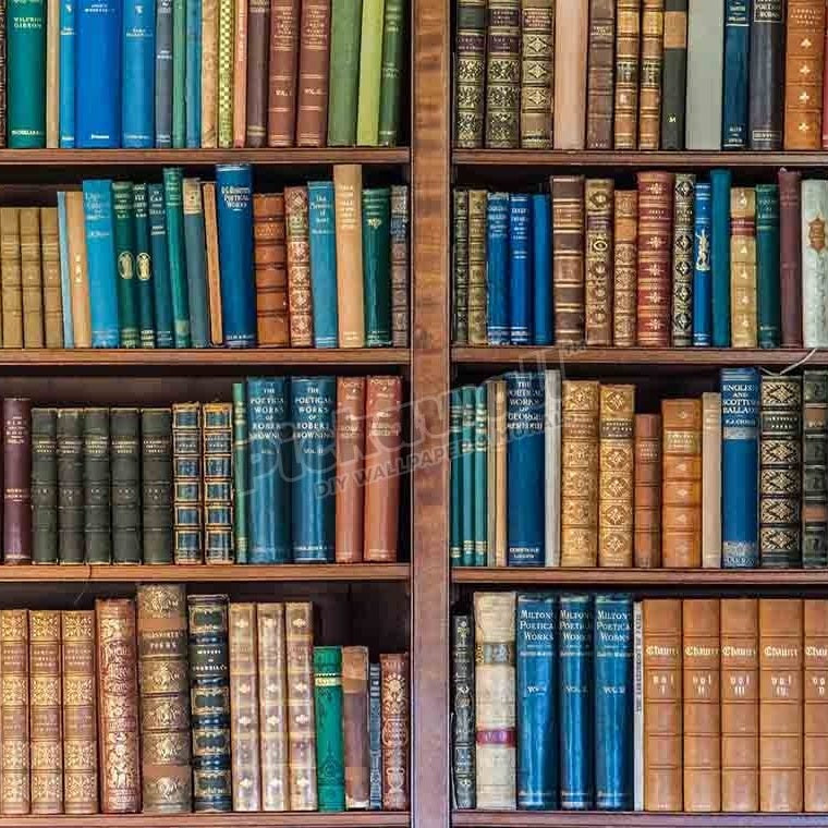 Antique Bookshelves - Pickawall