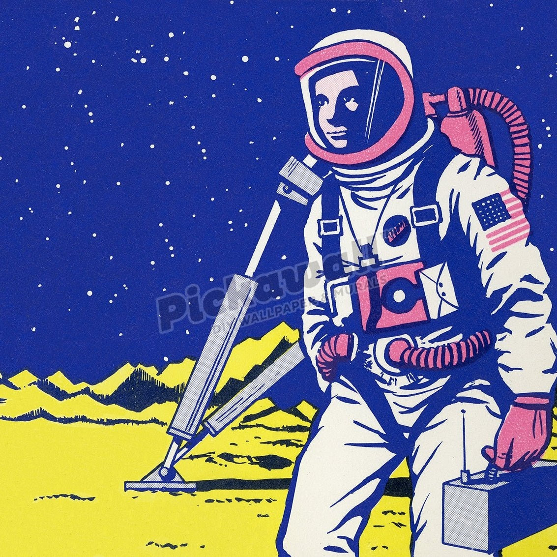 Astronaut on the Moon - Pickawall