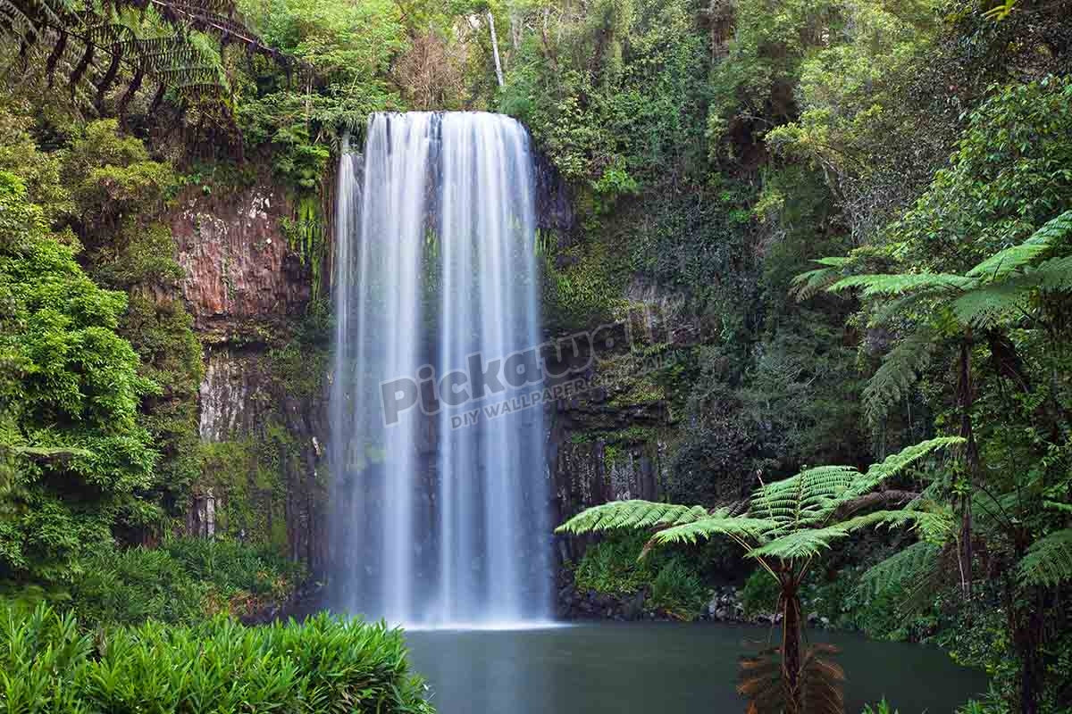 Millaa Millaa Falls, Atherton Tablelands, Queensland, Australia