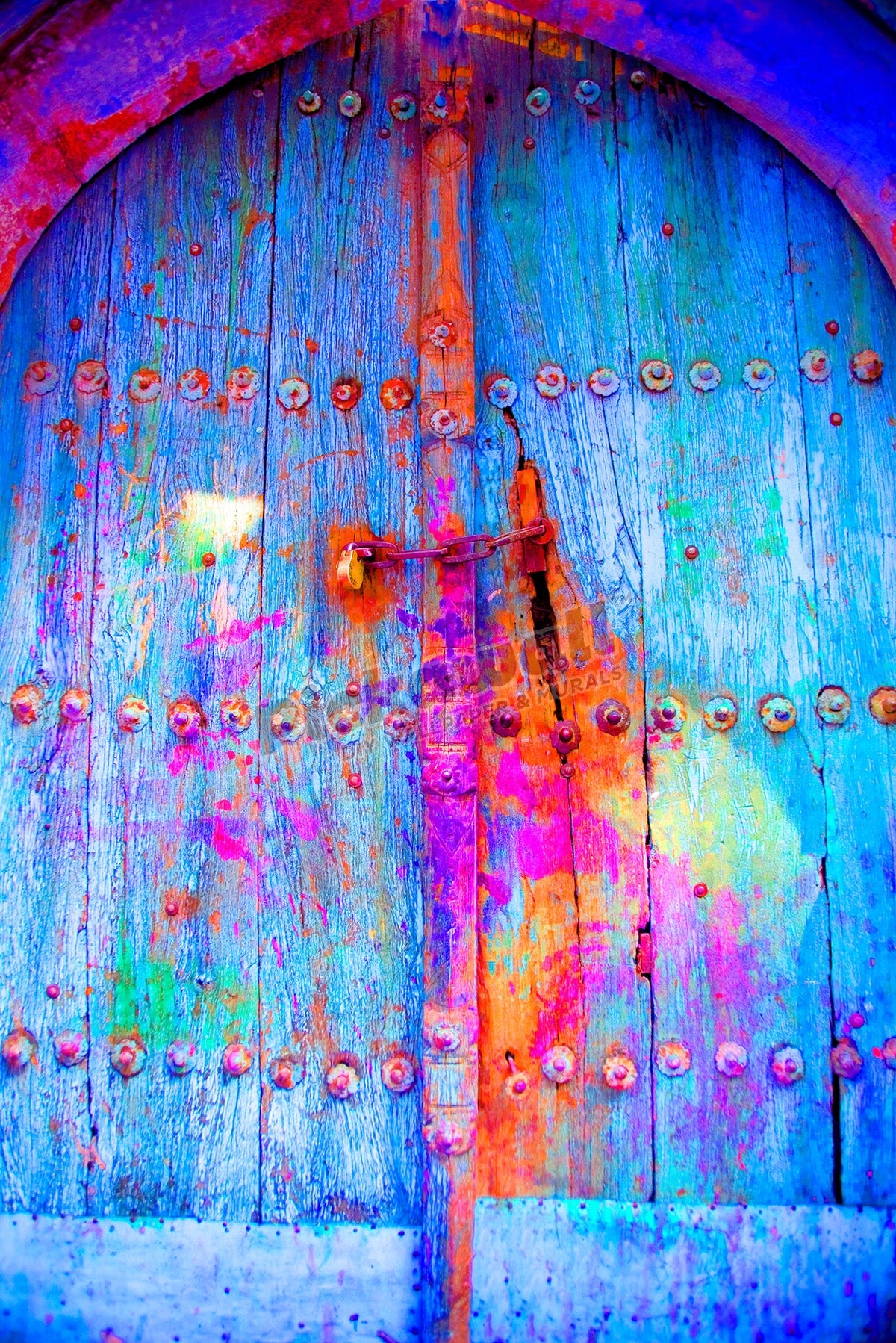 Colorful door in Old Delhi