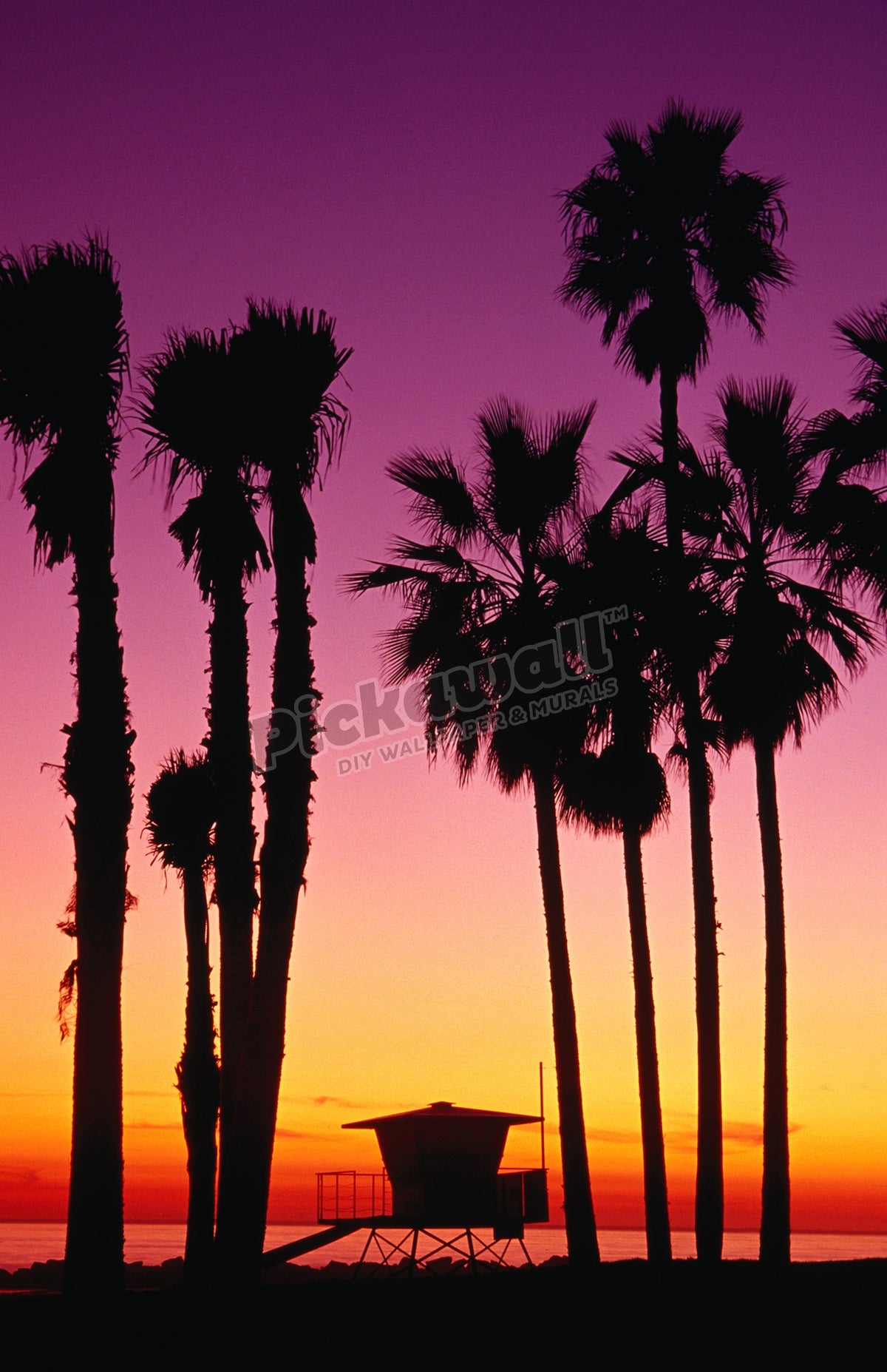Palm Tree Sunset