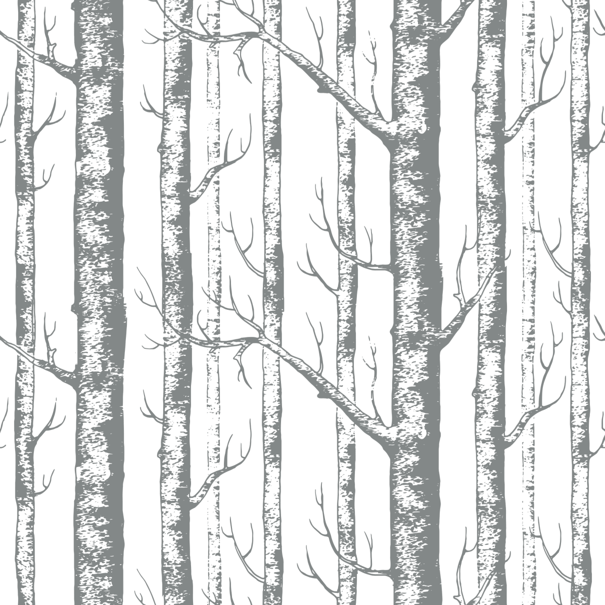 Birch Forest - Pickawall