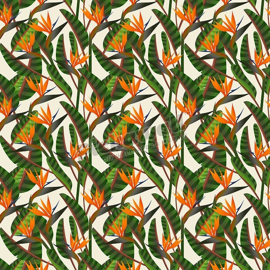 Birds of Paradise - Pickawall