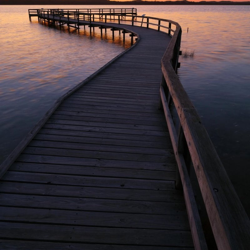 boardwalk over Lake Clifton - Pickawall