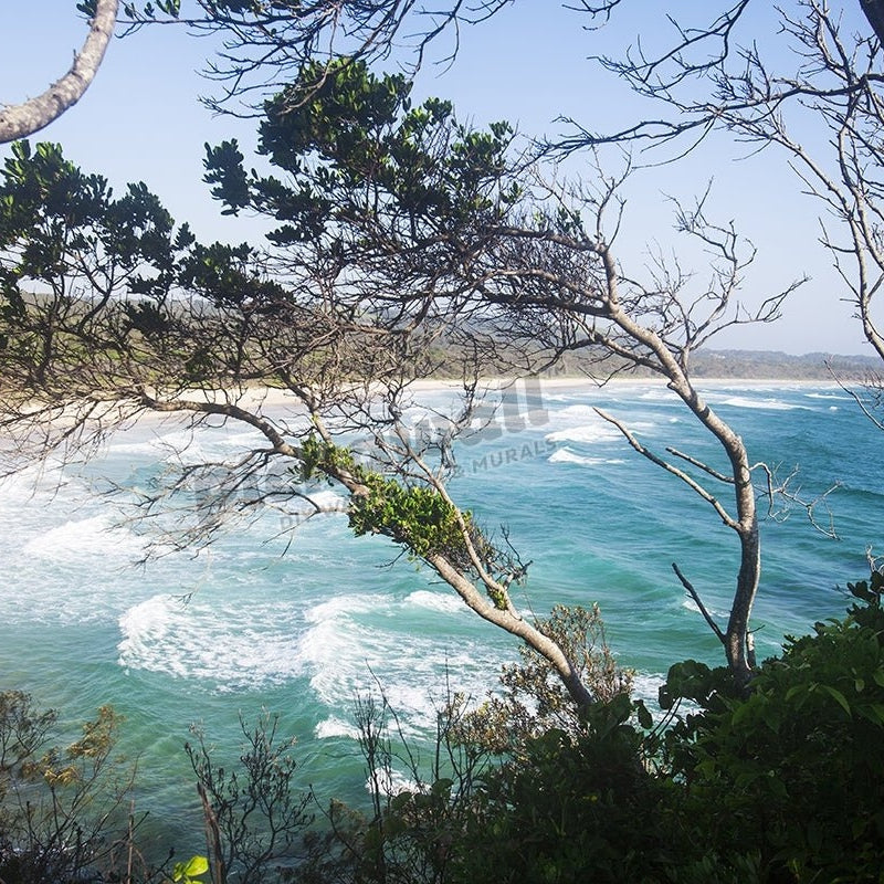 Broken Head Beach, NSW, Australia - Pickawall