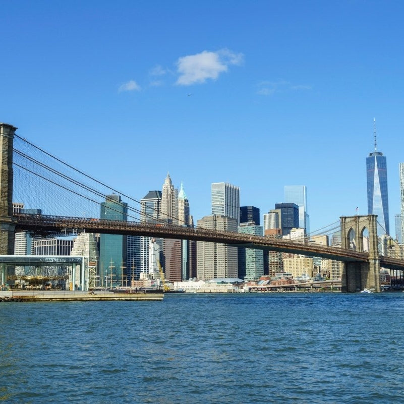 Brooklyn Bridge and Lower Manhattan skyscrapers - Pickawall