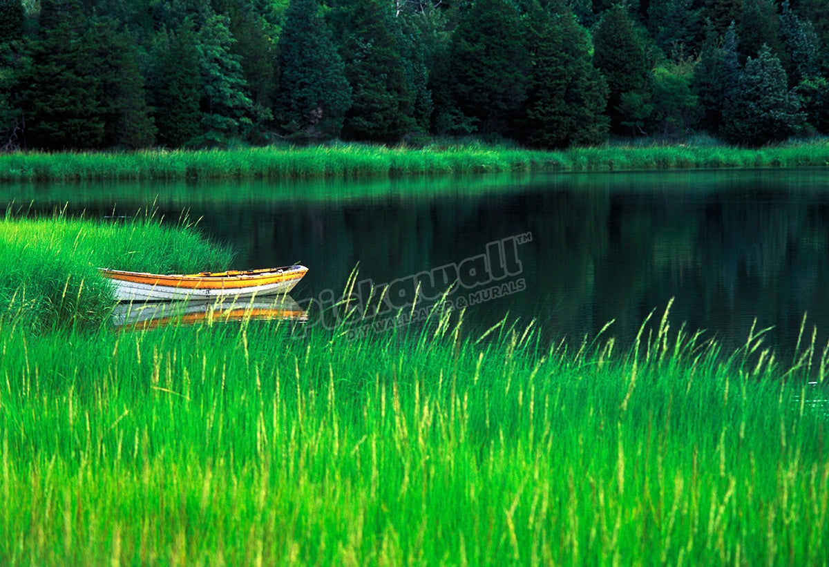 Row boat tied up in marsh grass Mill Pond, Cape Cod
