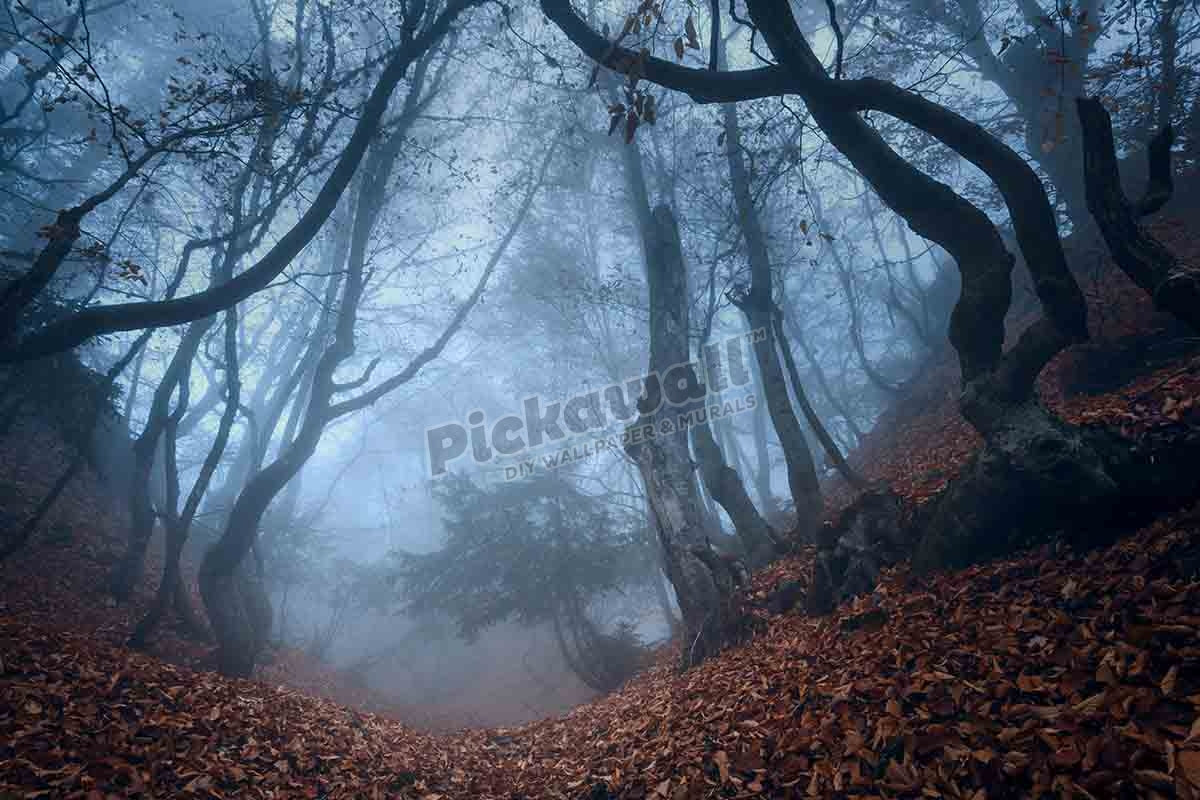 Mysterious dark autumn forest in blue fog