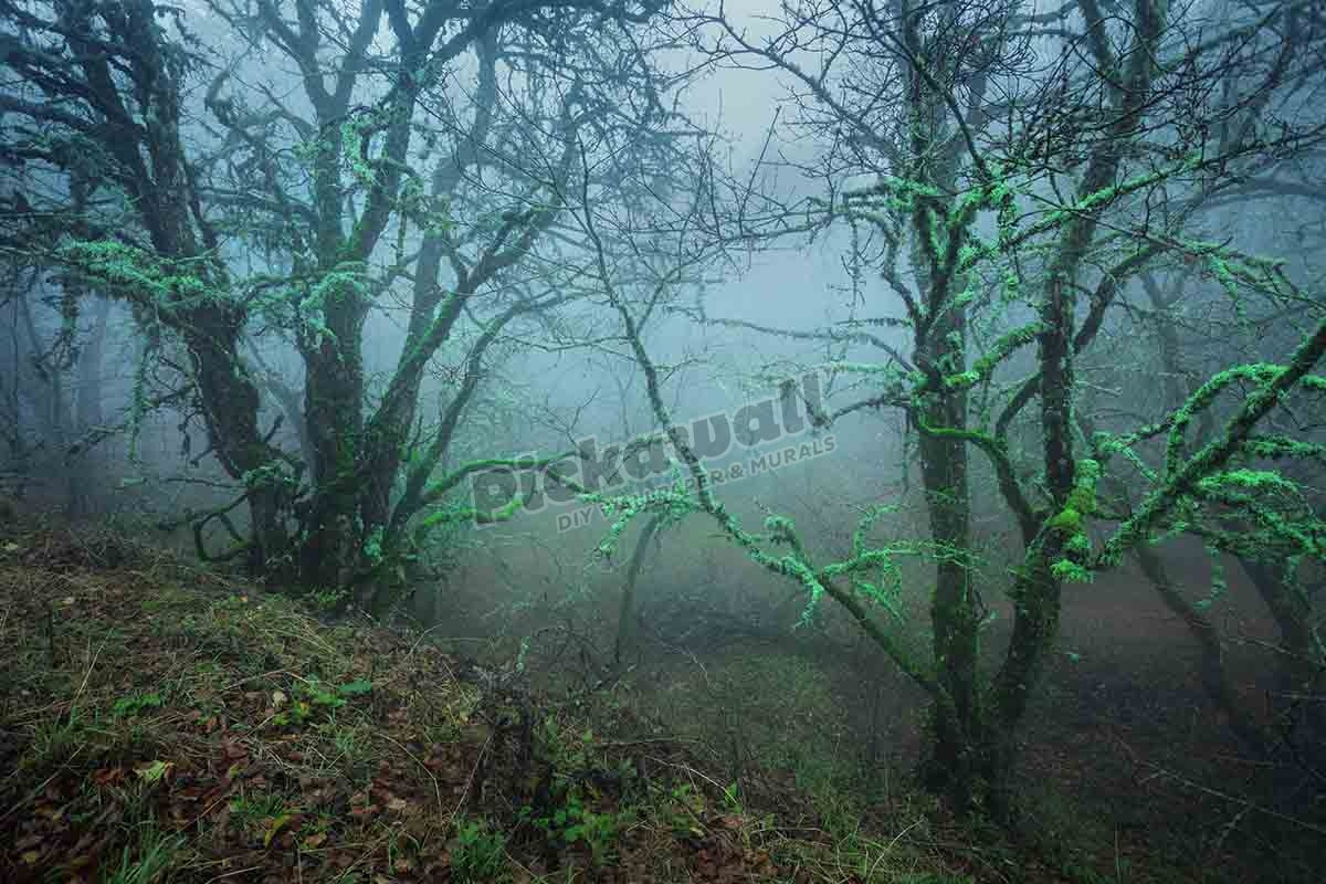autumn forest in blue fog