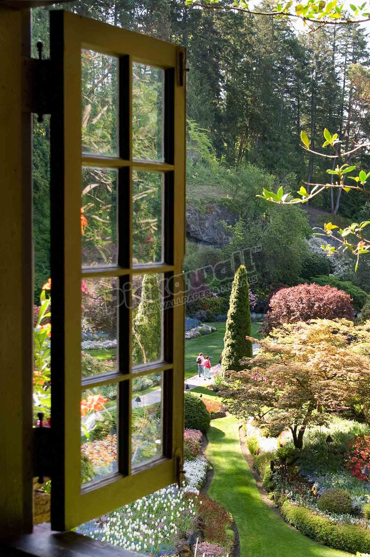 open window overlooking a lush garden