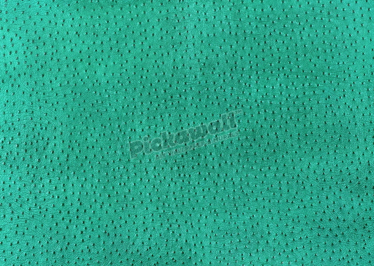Textural Skin - Pig Leather
