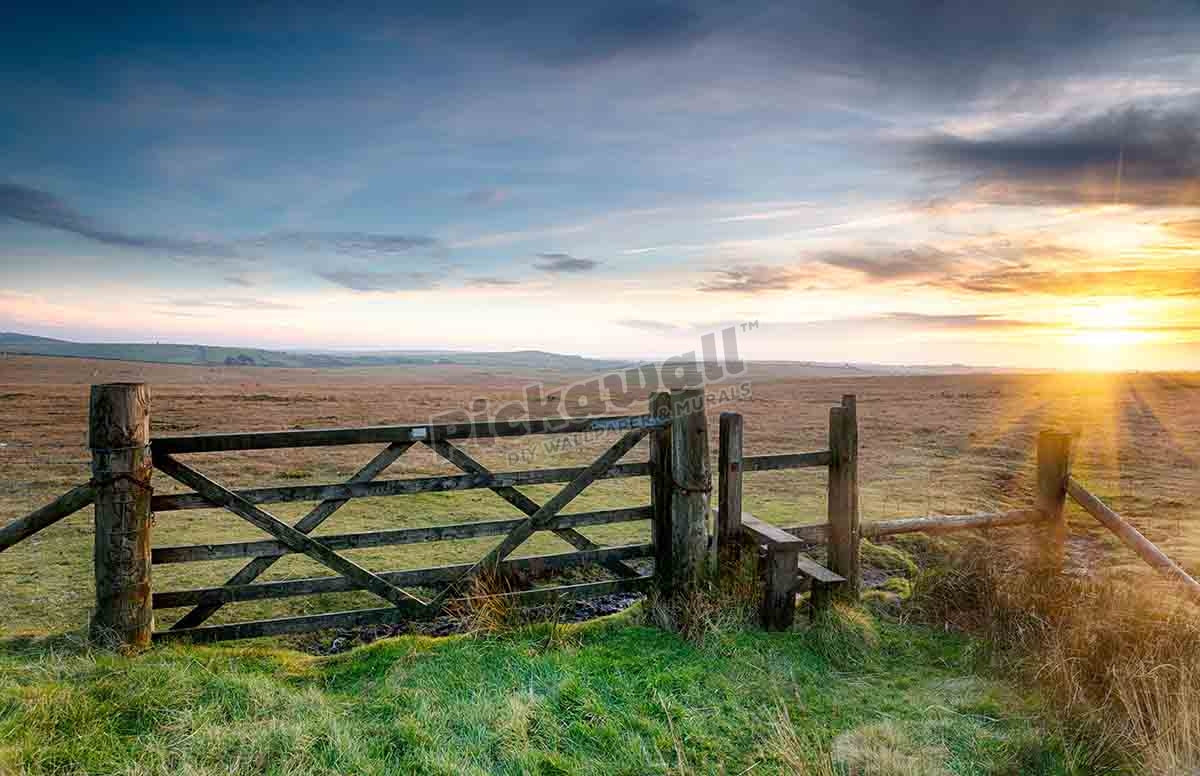 Wooden gate