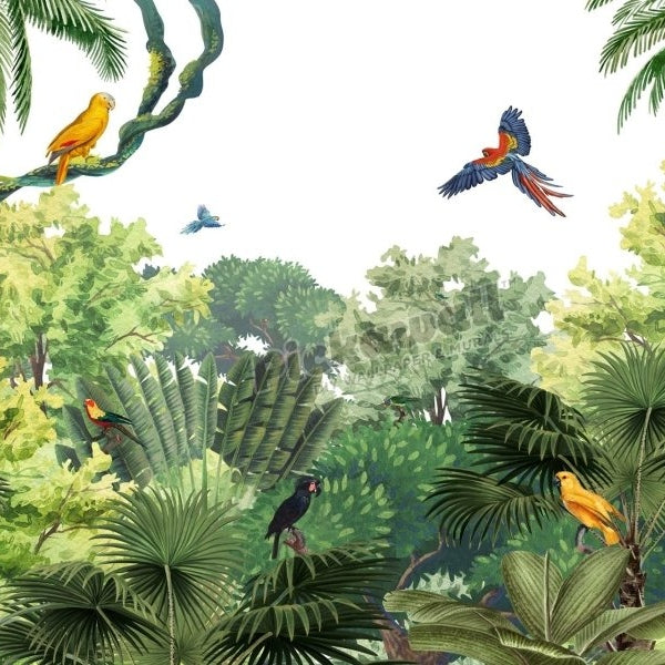 Canopy Jungle by Kikki Belle - Pickawall