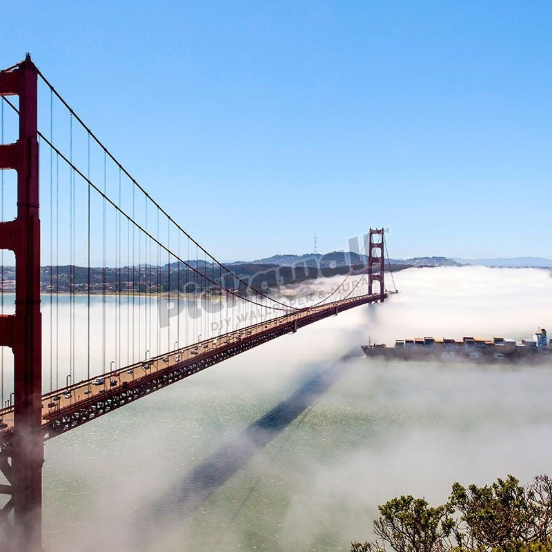Cargo ship passing under the Golden Gate bridge, San Francisco - Pickawall