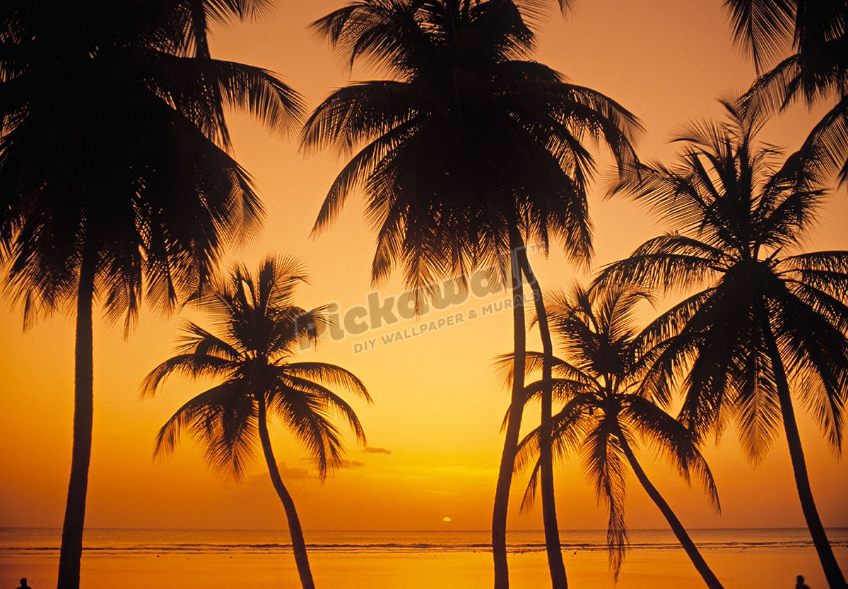 Pigeon Point Tobago