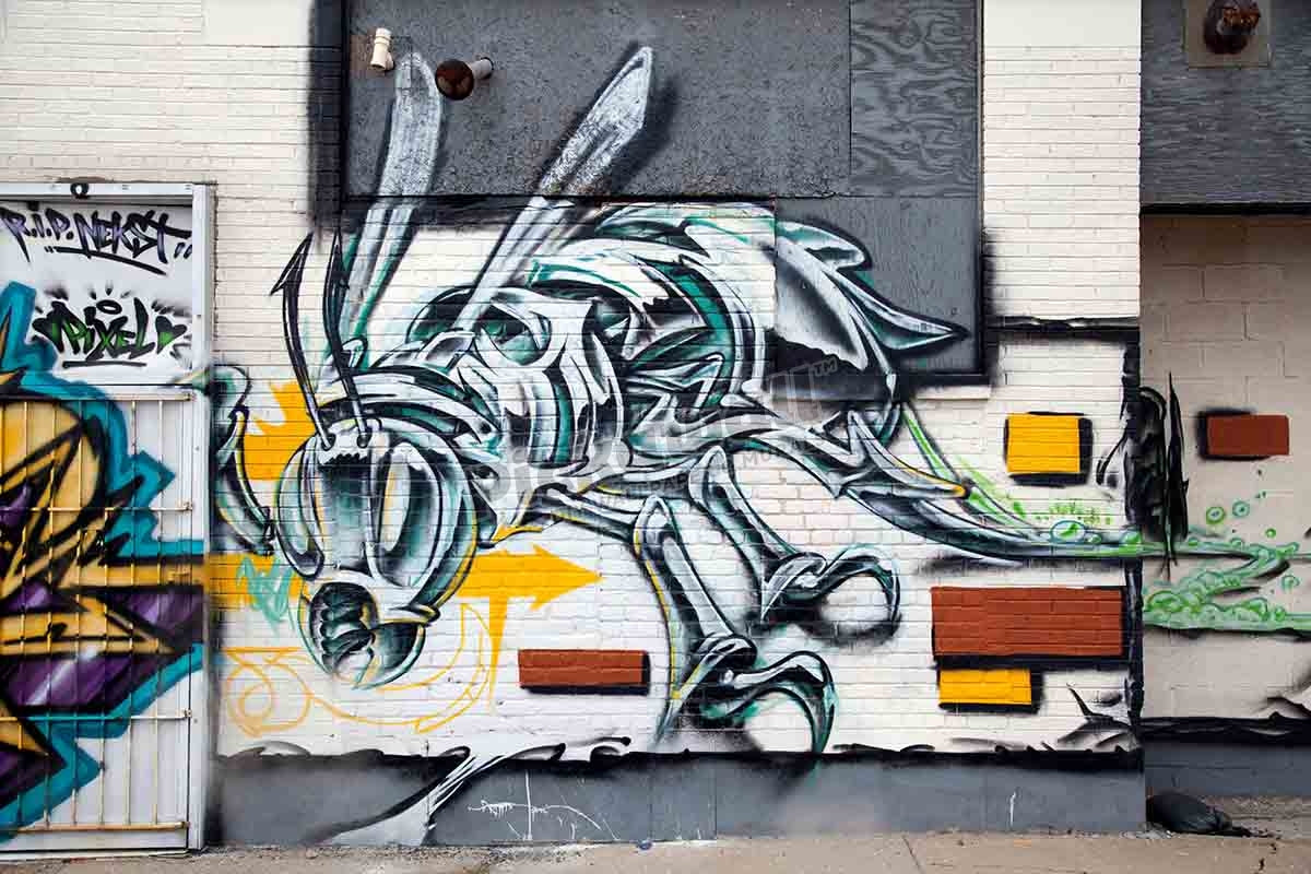 Graffiti on wall, Detroit