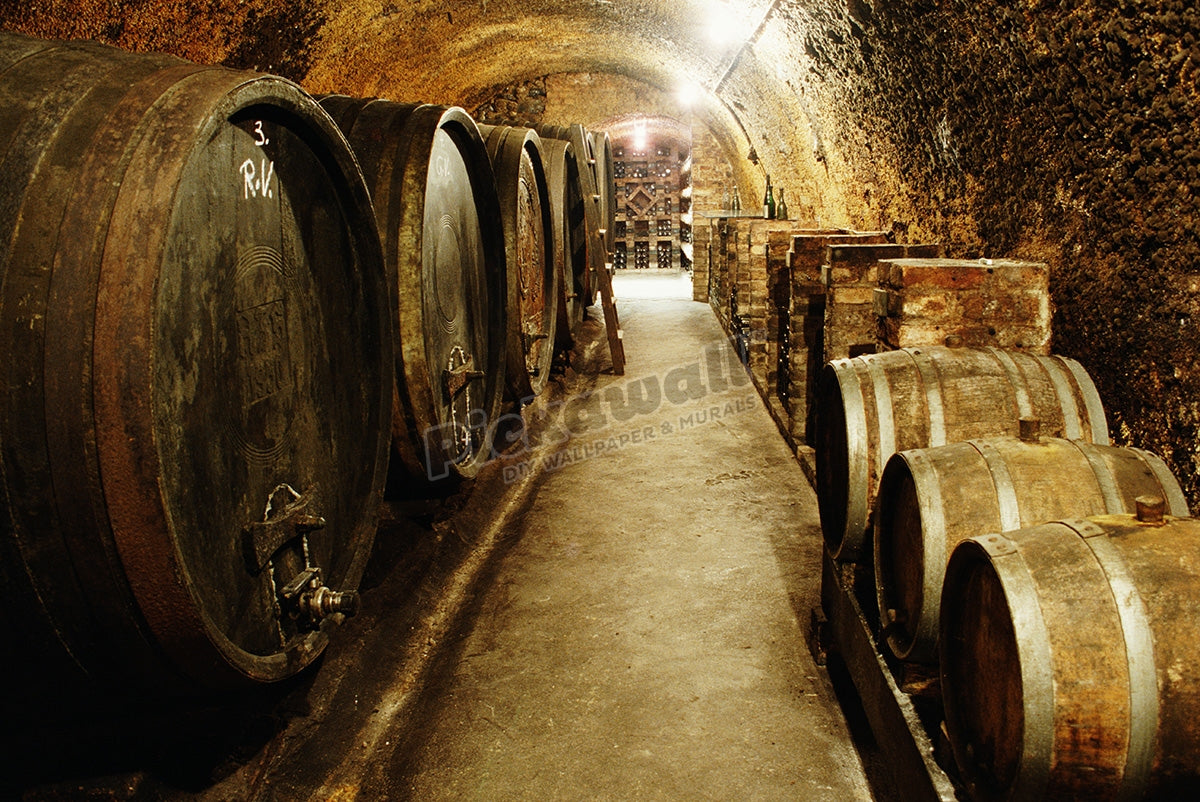 Austria, Vienna, barrels in winery corridor