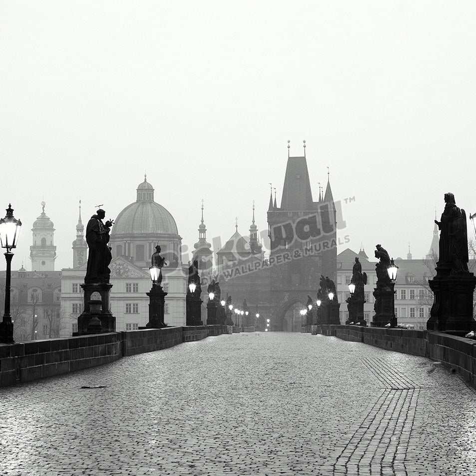 Charles Bridge Czech Republic - Pickawall