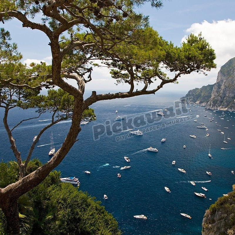 City of Capri, Sorrentine Peninsula Italy - Pickawall