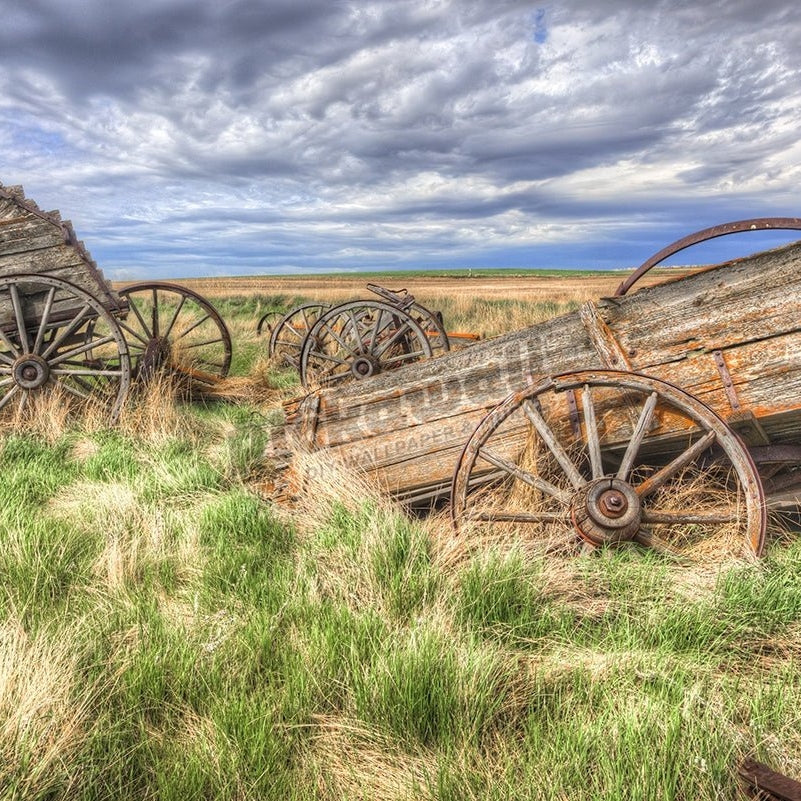 classic wooden wagons rot in a field - Pickawall