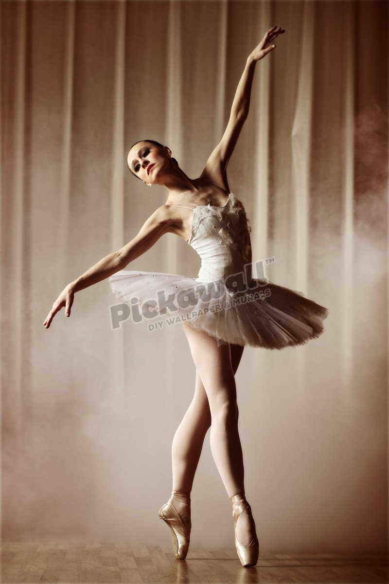 classical dancer - Pickawall