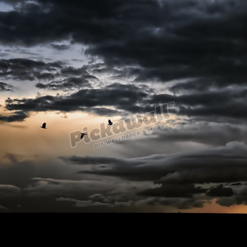 Clouds - Pickawall