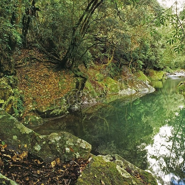 Crystal Pool, Williams River, Barrington Tops National Park - Pickawall