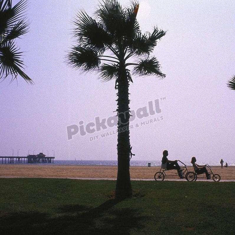 Cyclists, Venice Beach, CA - Pickawall