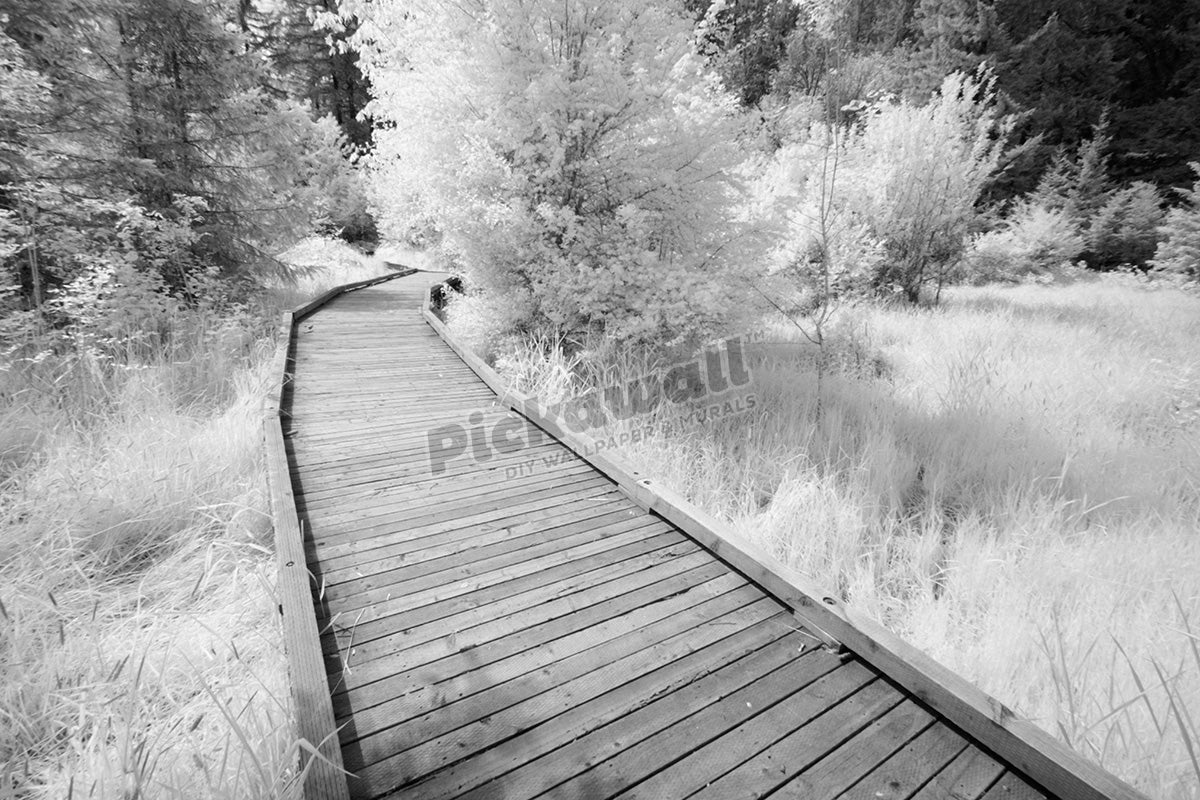 Pathway