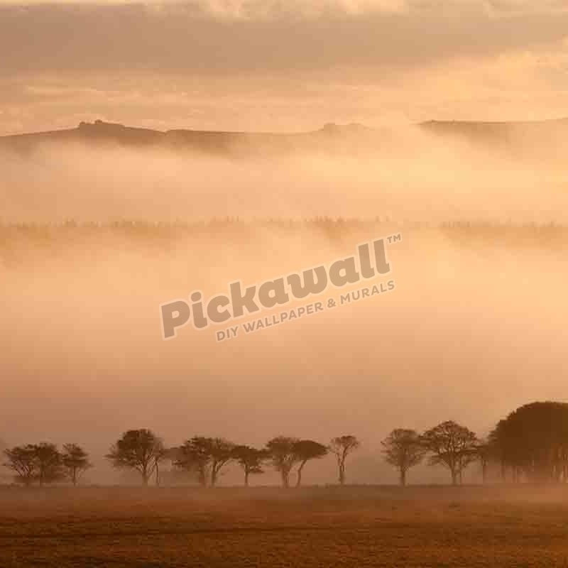 Dartmoor, Devon, England - Pickawall