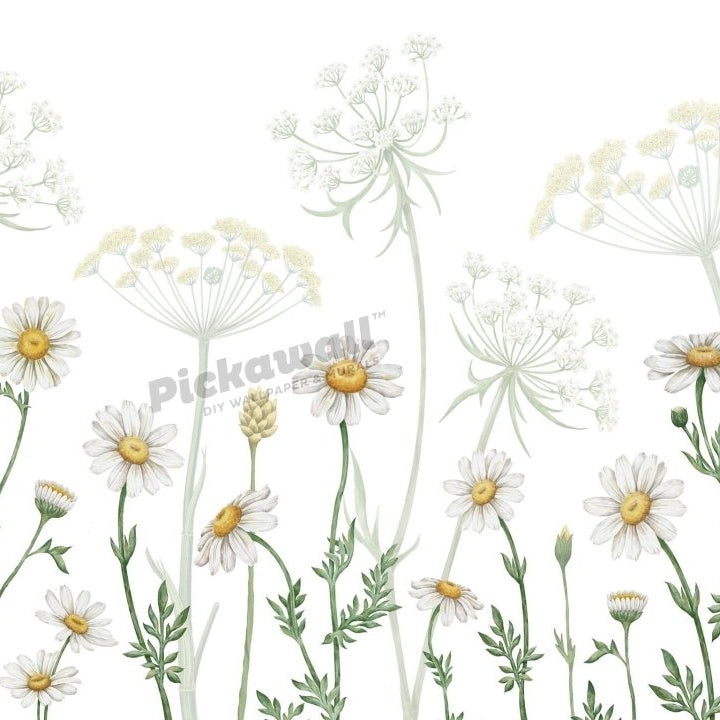 Dazzling Daisies White by Sir Edward - Pickawall