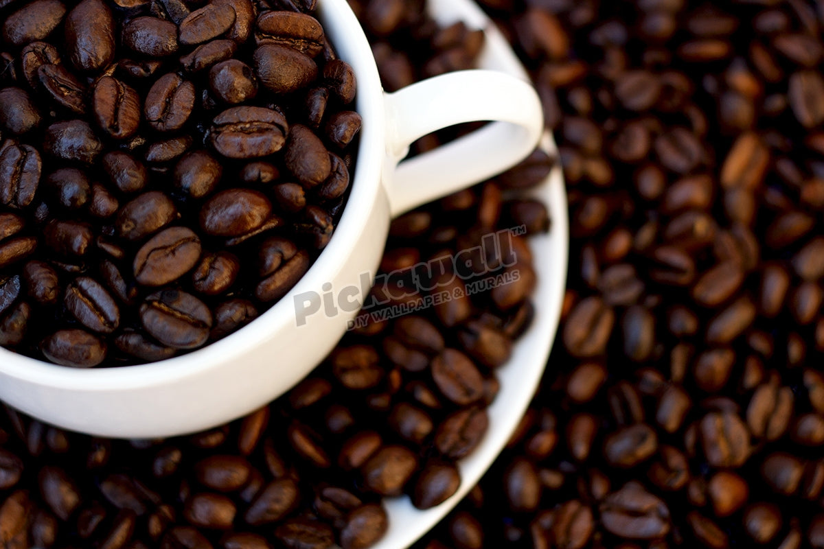 Humble coffee bean