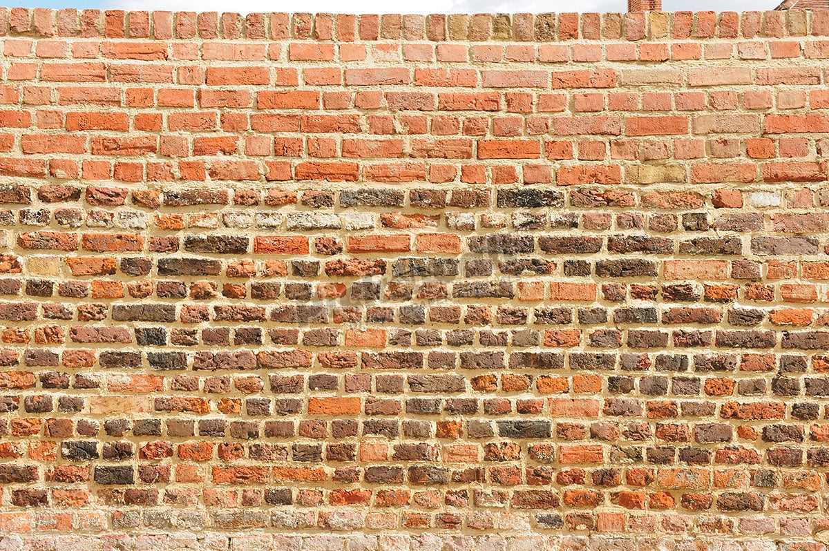 Old Brick Wall
