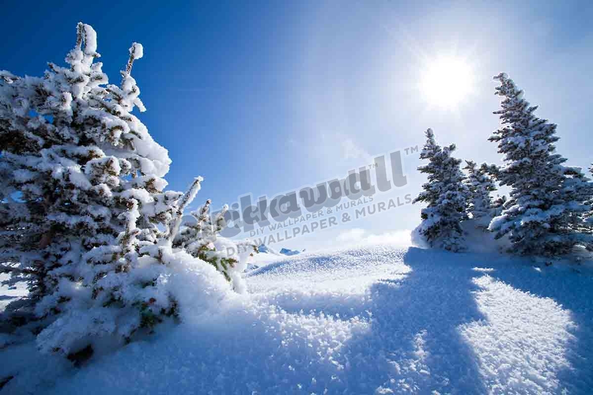 Winter Landscape, Alberta