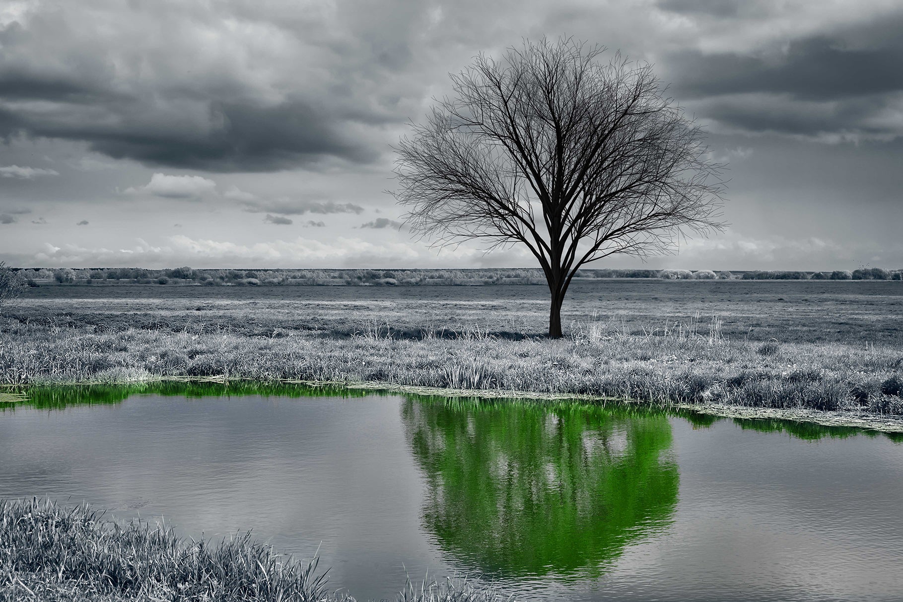 An unusual landscape