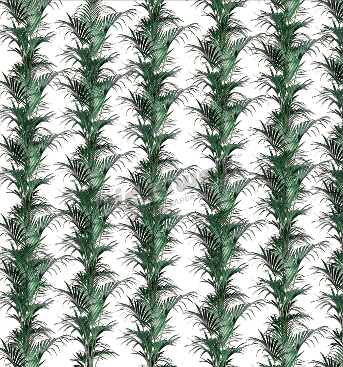 Palm paradise pattern