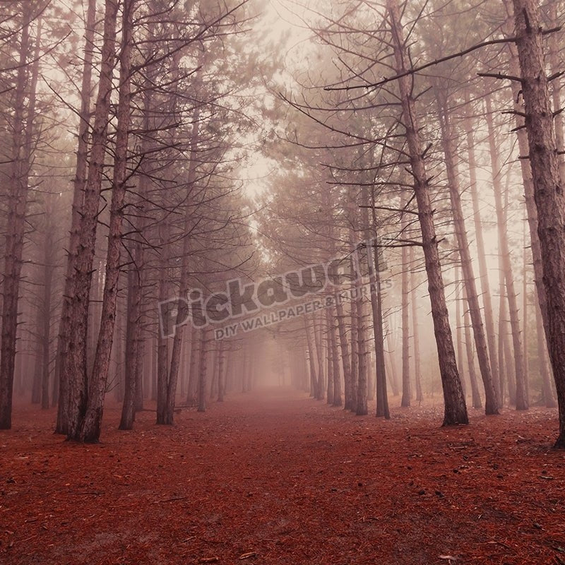 Enchanted forest - Pickawall