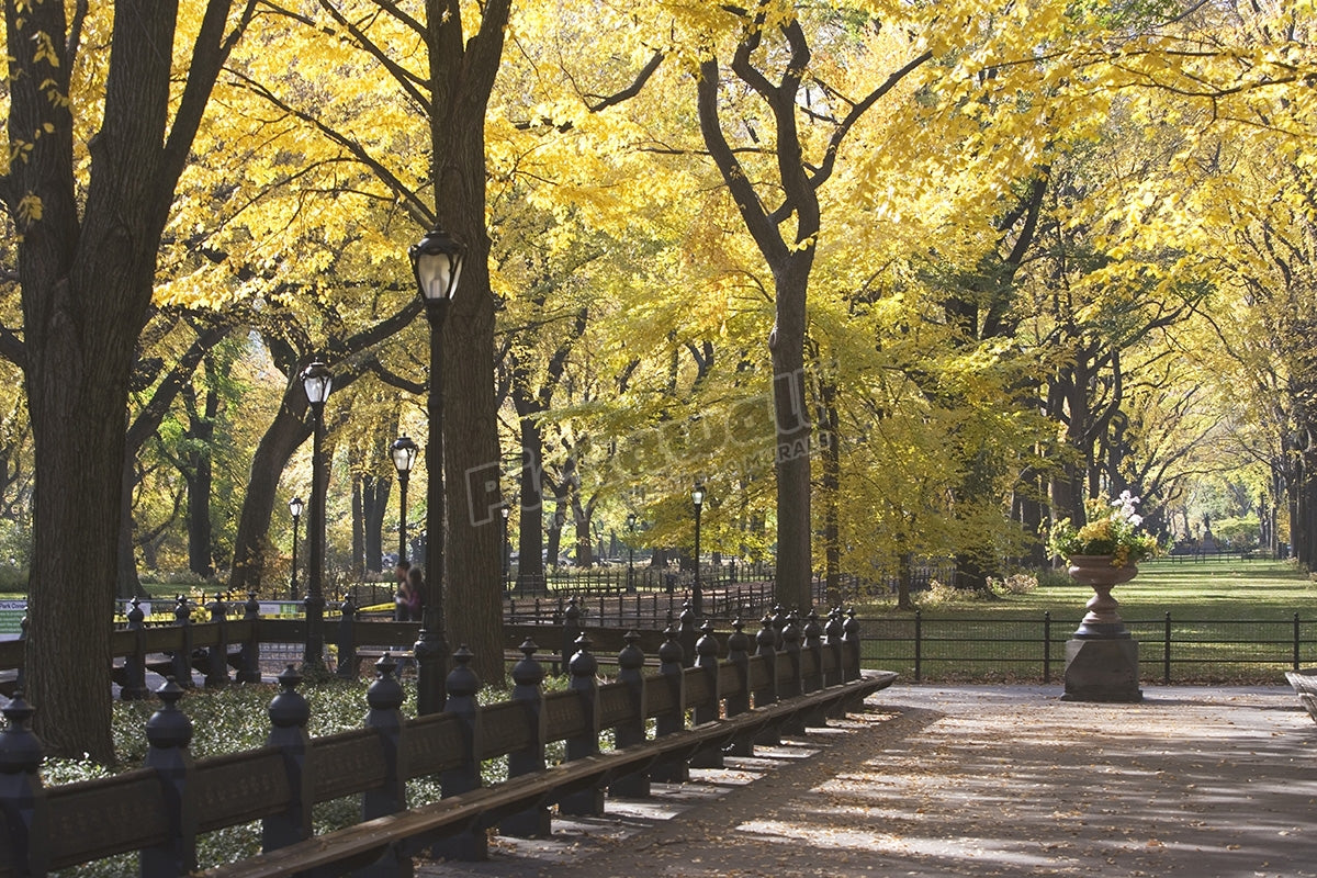 New York City, Autumn in Central Park