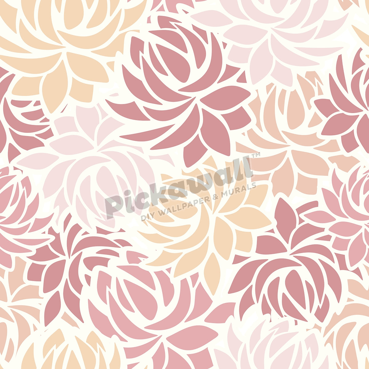Dahlia flowers