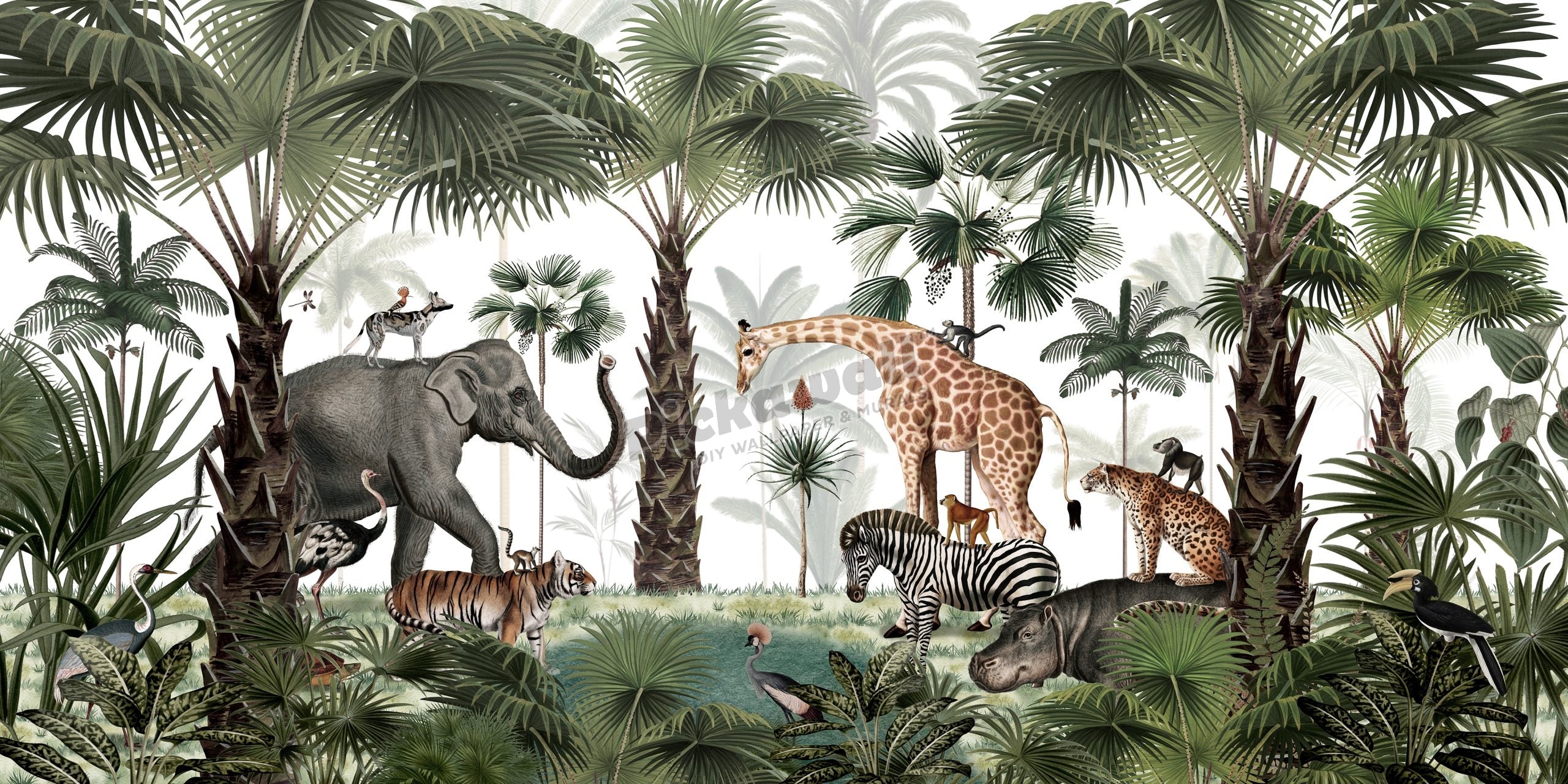 Animal Kingdom by Kikki Belle