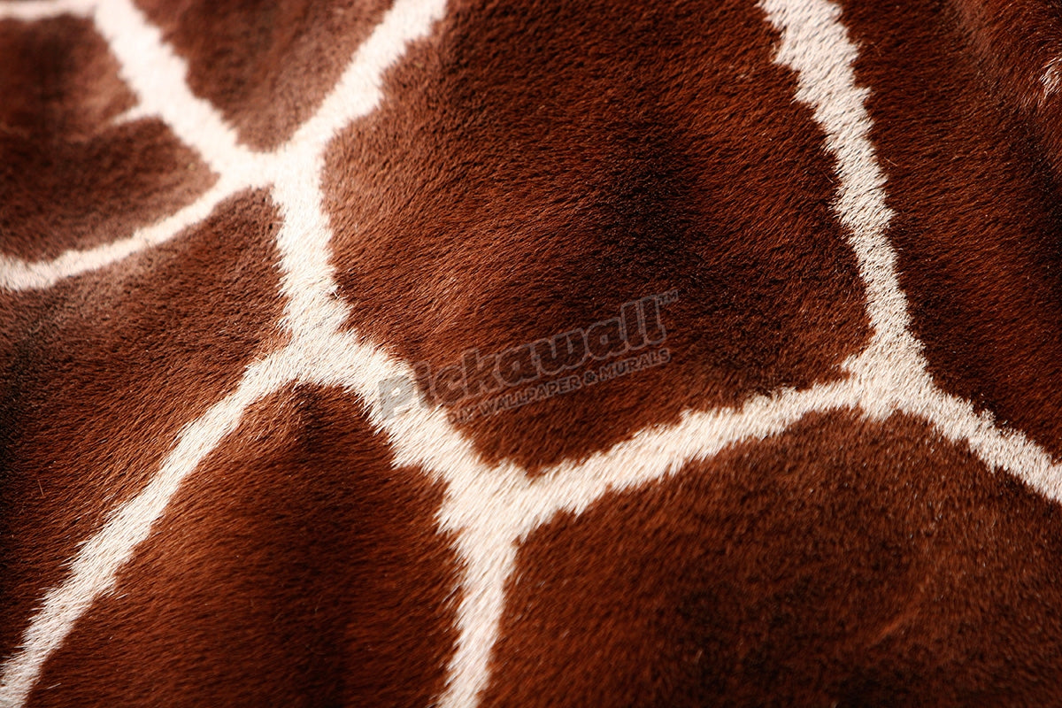 Giraffe's fur