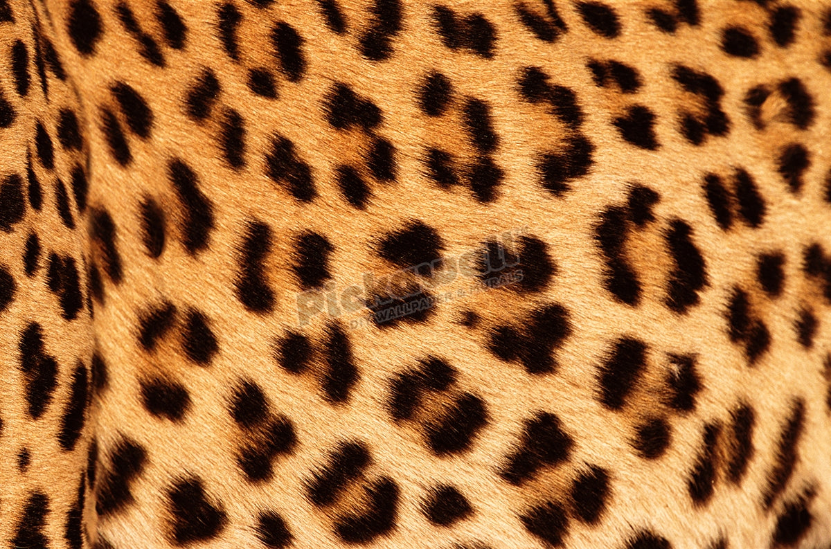 Leopard skin
