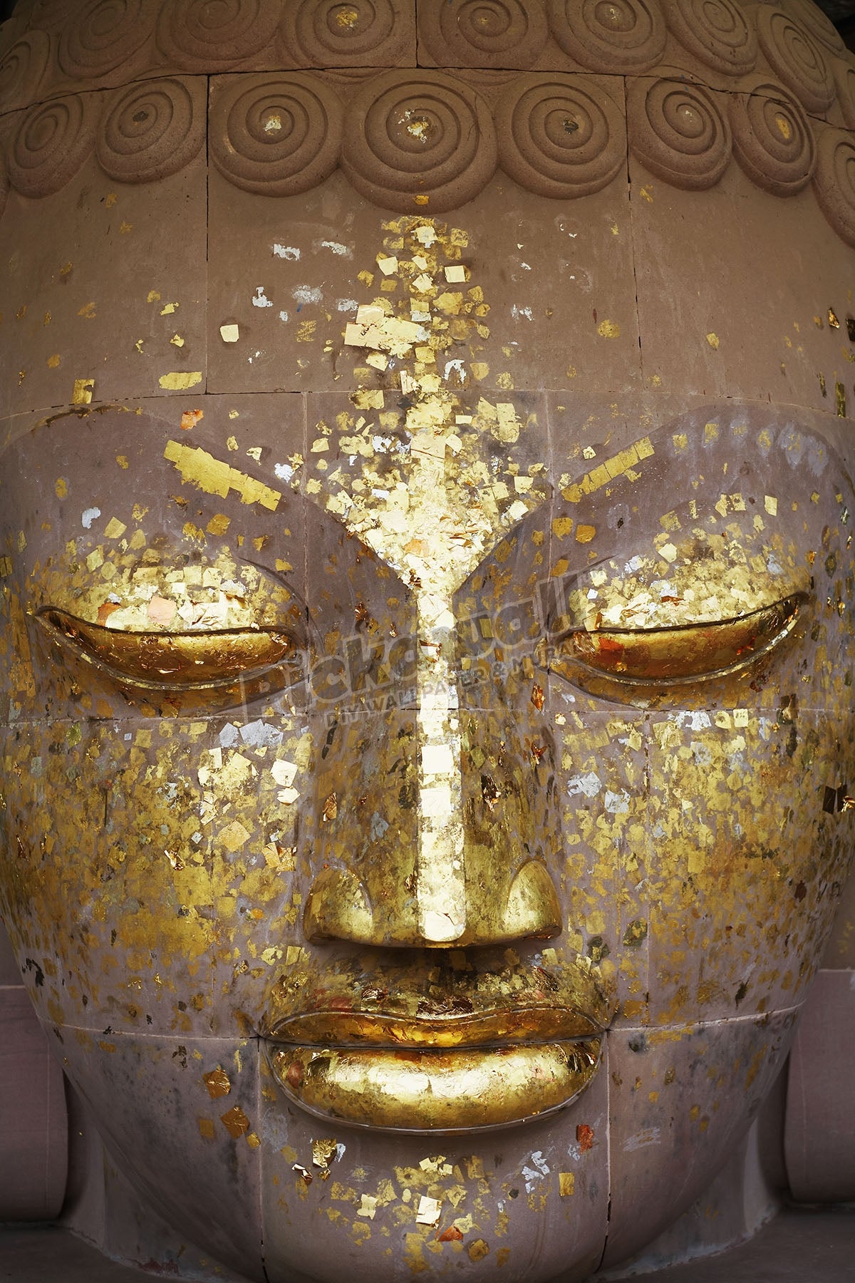 Budda statue, close-up of head