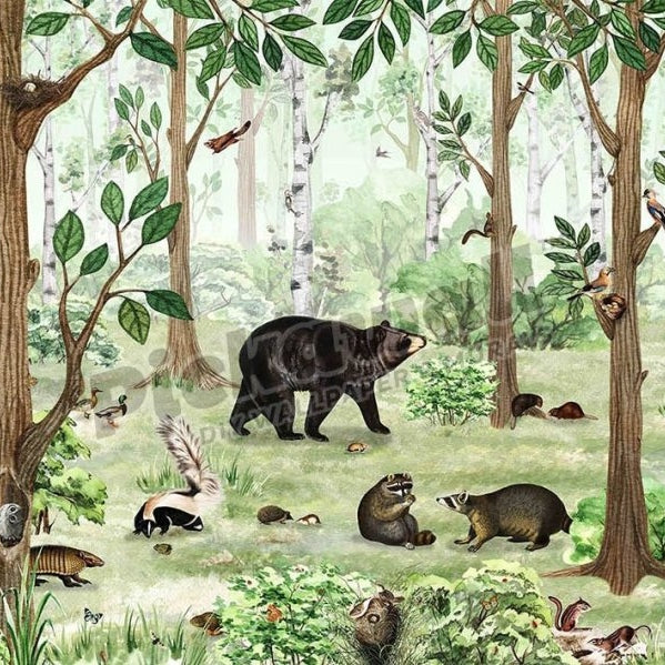 Forest by Kikki Belle - Pickawall