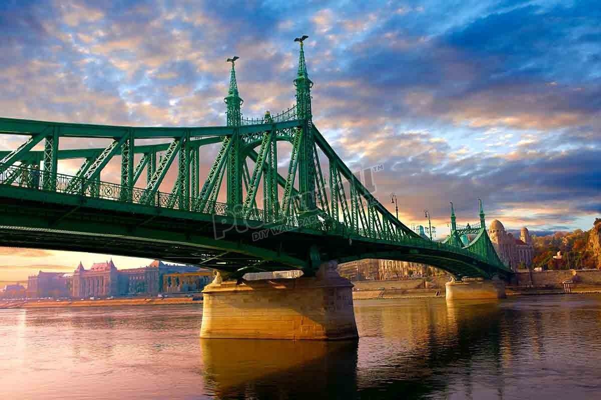 Freedom Bridge - Pickawall