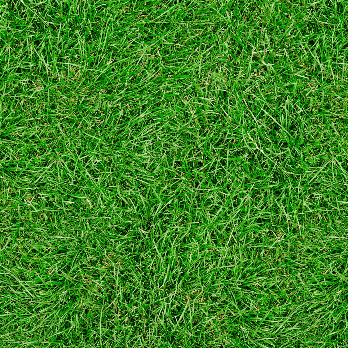 Grass Lawn - Pickawall