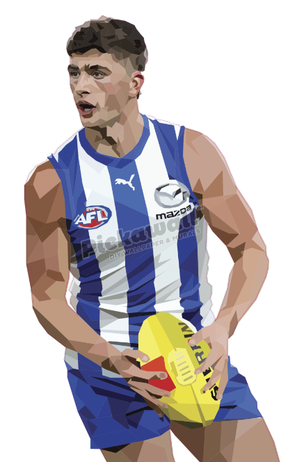 Harry Sheezel Decal by DG Designs X AFL - Pickawall