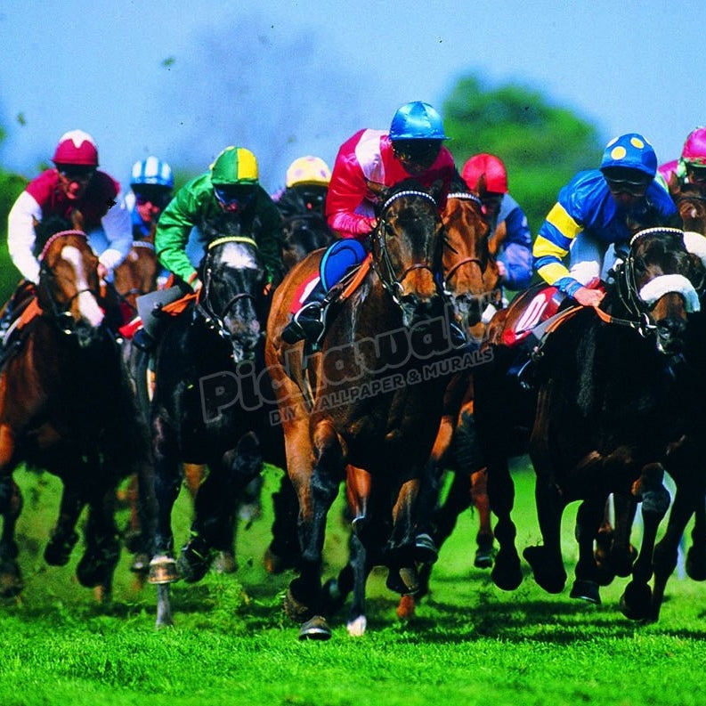 Horse Racing - Pickawall